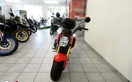 Gebrauchtmotorrad Honda MSX 125 - Bild 5 Gebrauchtmotorrad Honda MSX 125 - Bild 5