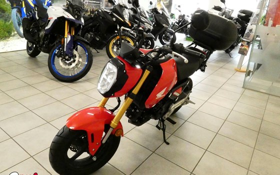 Gebrauchtmotorrad Honda MSX 125 - Bild 10 Gebrauchtmotorrad Honda MSX 125 - Bild 10