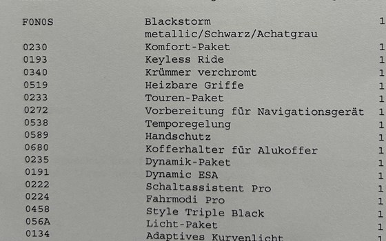 Gebrauchtmotorrad BMW R 1250 GS - Bild 2