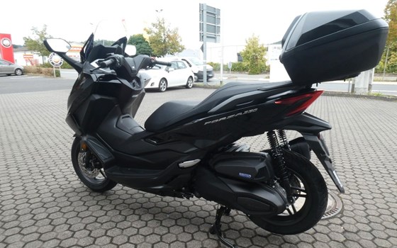 Neufahrzeug Honda Forza 350 - Bild 6