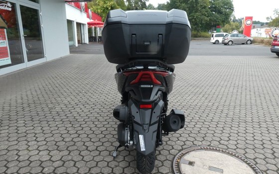 Neufahrzeug Honda Forza 350 - Bild 7