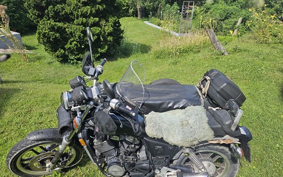 Gebrauchtmotorrad Honda VT 500 C - Bild 4 Gebrauchtmotorrad Honda VT 500 C - Bild 4