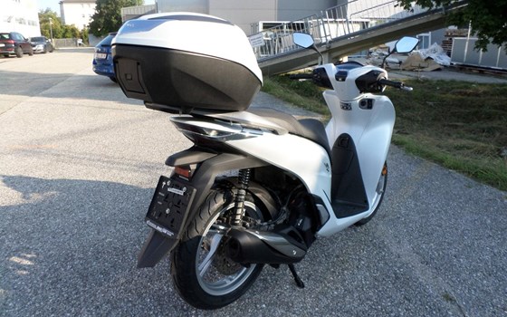 Gebrauchtmotorrad Honda SH125i - Bild 3 Gebrauchtmotorrad Honda SH125i - Bild 3