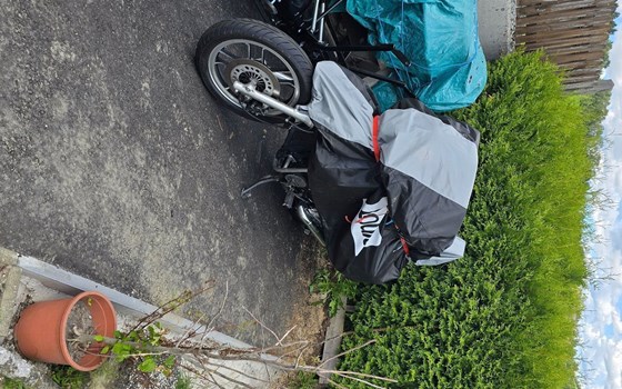 Gebrauchtmotorrad Honda VT 500 C - Bild 16