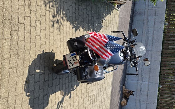 Gebrauchtmotorrad Honda VT 500 C - Bild 22