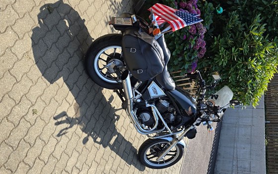 Gebrauchtmotorrad Honda VT 500 C - Bild 23 Gebrauchtmotorrad Honda VT 500 C - Bild 23