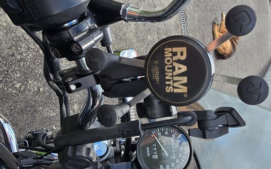 Gebrauchtmotorrad Honda VT 500 C - Bild 5