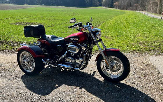 Offerta Harley-Davidson Sportster XL 1200C Custom - Immagine 1