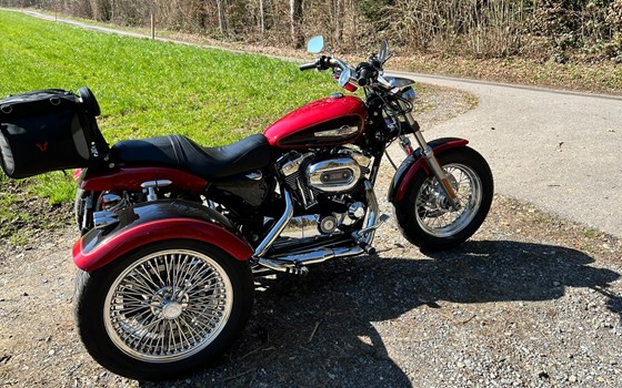 Motorrad Occasion Harley-Davidson Sportster XL 1200C Custom - Bild 3