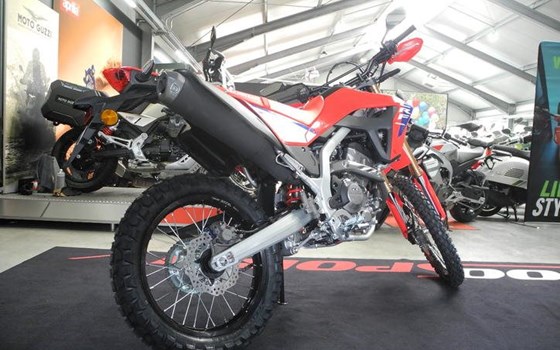 Neufahrzeug Honda CRF300L - Bild 7