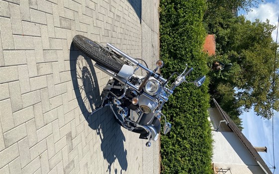 Gebrauchtmotorrad Yamaha XVS 650 Drag Star - Bild 4 Gebrauchtmotorrad Yamaha XVS 650 Drag Star - Bild 4