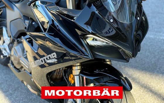 Neufahrzeug QJ Motor SRK 600 RS - Bild 7