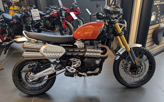Gebrauchtmotorrad Triumph Scrambler 1200 XE - Bild 1