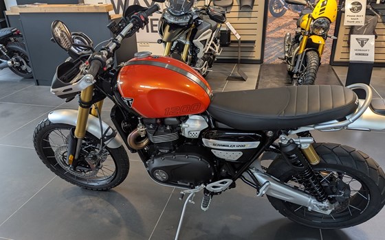 Gebrauchtmotorrad Triumph Scrambler 1200 XE - Bild 3
