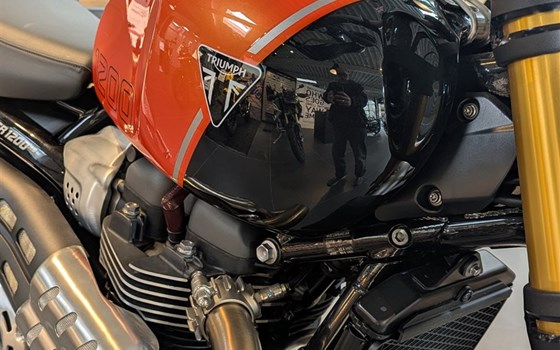 Gebrauchtmotorrad Triumph Scrambler 1200 XE - Bild 5