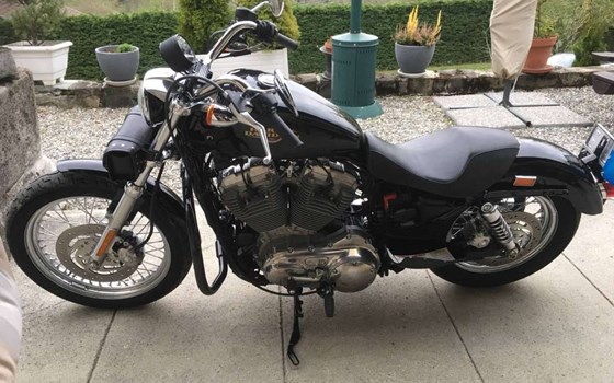 Offerta Harley-Davidson Sportster XL 883 L SuperLow - Immagine 2