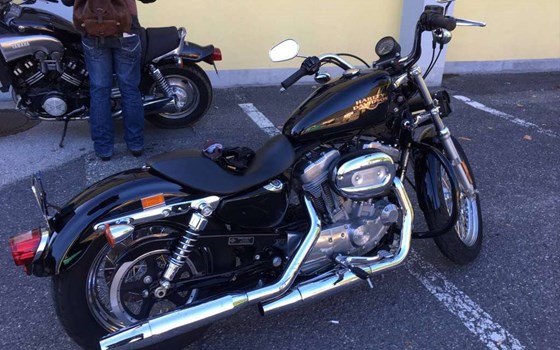 Offerta Harley-Davidson Sportster XL 883 L SuperLow - Immagine 3