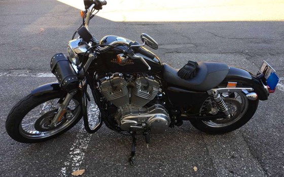 Motorrad Occasion Harley-Davidson Sportster XL 883 L SuperLow - Bild 4