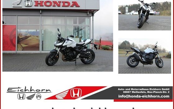 Neufahrzeug Honda CB1000 Hornet - Bild 1