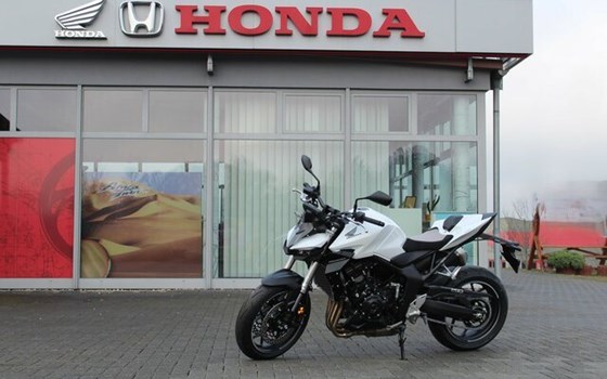 Neufahrzeug Honda CB1000 Hornet - Bild 2