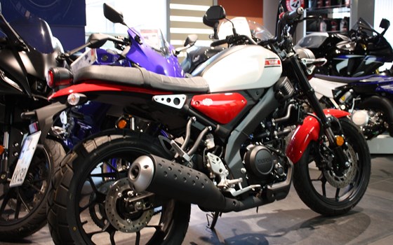 Gebrauchtmotorrad Yamaha XSR125 - Bild 3