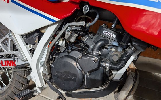 Gebrauchtmotorrad Honda MTX 125 R - Bild 4 Gebrauchtmotorrad Honda MTX 125 R - Bild 4