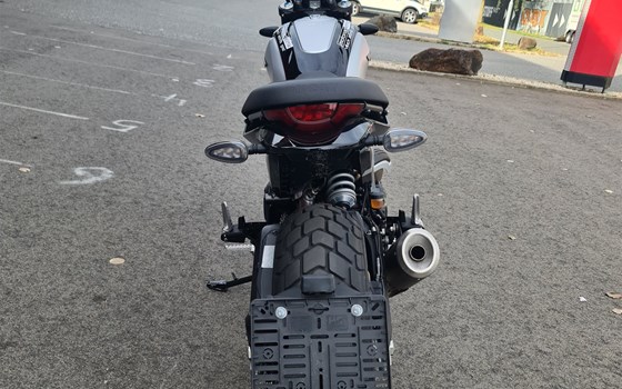 Neufahrzeug Ducati Scrambler Icon - Bild 6 Neufahrzeug Ducati Scrambler Icon - Bild 6