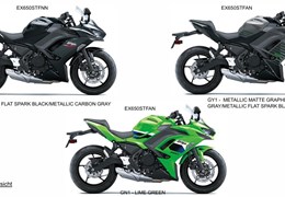 Neumotorrad Kawasaki Ninja 650