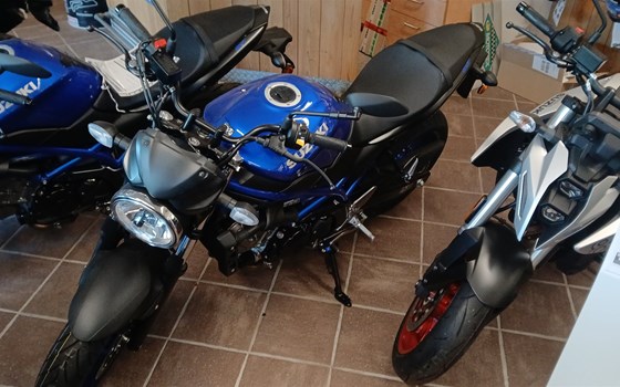 Neufahrzeug Suzuki SV650 - Bild 2