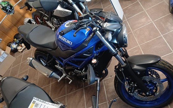 Neufahrzeug Suzuki SV650 - Bild 3
