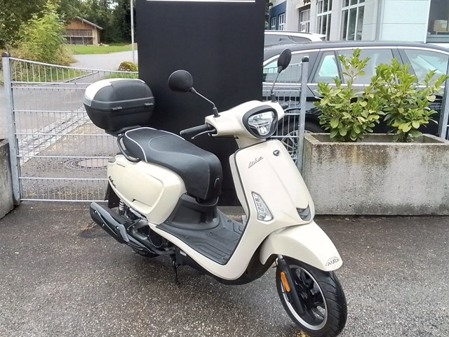 Gebrauchtfahrzeug Gebrauchtfahrzeug
