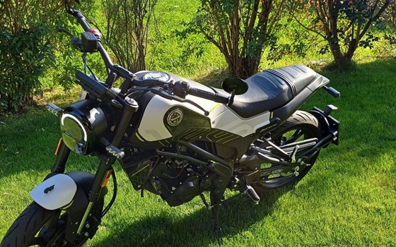 Gebrauchtmotorrad Benelli Leoncino 125 - Bild 1 Gebrauchtmotorrad Benelli Leoncino 125 - Bild 1