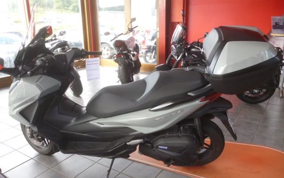 Gebrauchtmotorrad Honda Forza 125 - Bild 2