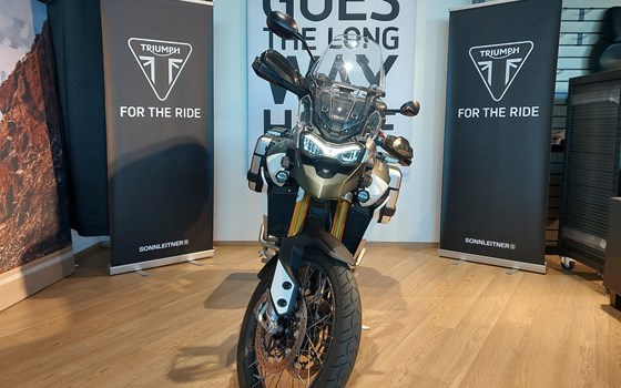 Gebrauchtmotorrad Triumph Tiger 900 Rally Pro - Bild 3