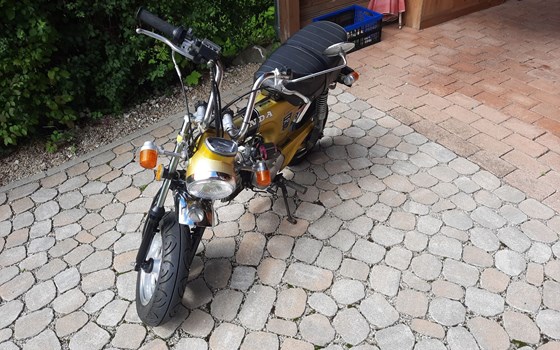 Gebrauchtmotorrad Honda Dax - Bild 4