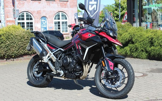 Gebrauchtmotorrad Triumph Tiger 900 GT Pro - Bild 2