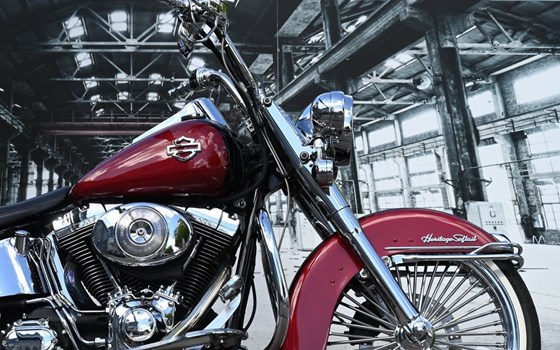 Gebrauchtmotorrad Harley-Davidson Softail Standard FXST - Bild 2