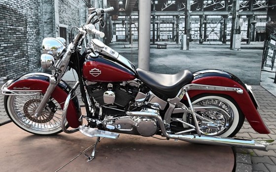 Gebrauchtmotorrad Harley-Davidson Softail Standard FXST - Bild 8