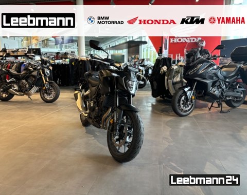 zum Vergrössern bitte anklicken!