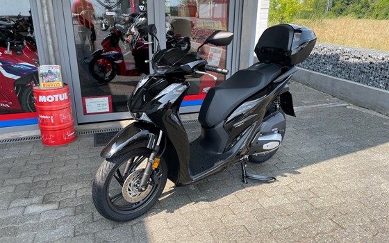 Neufahrzeug Honda SH150i - Bild 5