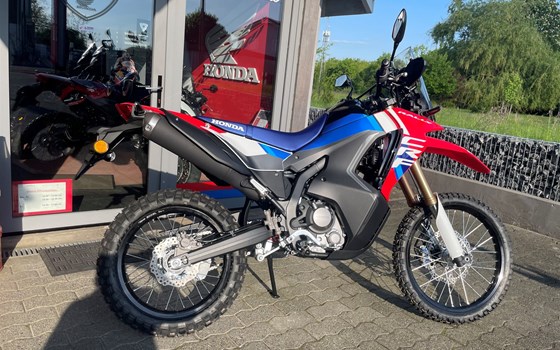 Neufahrzeug Honda CRF300 Rally - Bild 3
