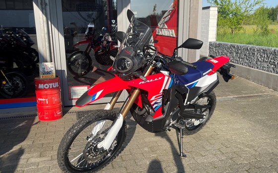 Neufahrzeug Honda CRF300 Rally - Bild 5