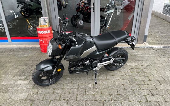 Neufahrzeug Honda MSX125 Grom - Bild 4