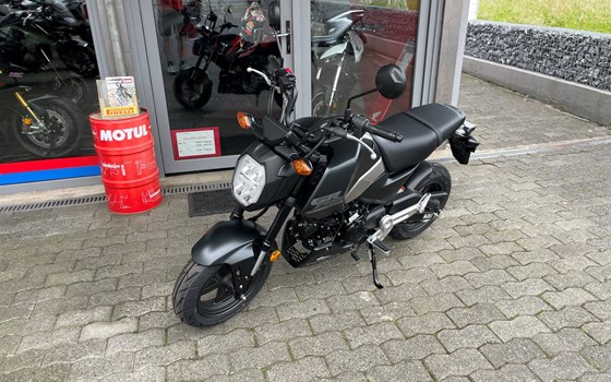Neufahrzeug Honda MSX125 Grom - Bild 5