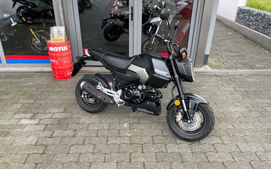 Neufahrzeug Honda MSX125 Grom - Bild 1