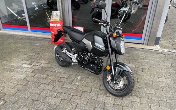 Neufahrzeug Honda MSX125 Grom - Bild 2