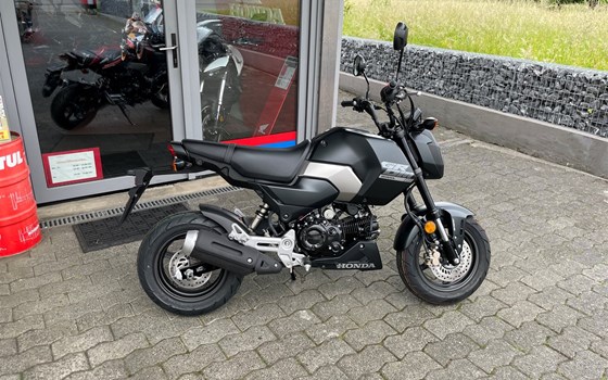 Neufahrzeug Honda MSX125 Grom - Bild 3