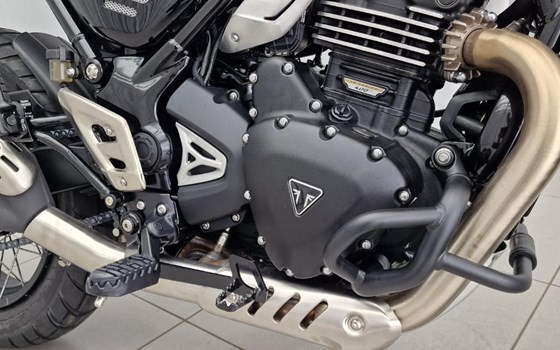 Neufahrzeug Triumph Scrambler 400 X - Bild 13