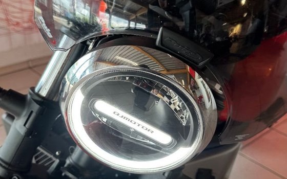 Gebrauchtmotorrad QJ Motor SRV 550 ST - Bild 5