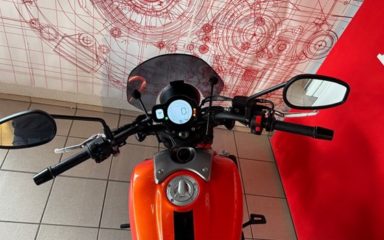 Gebrauchtmotorrad QJ Motor SRV 550 ST - Bild 6